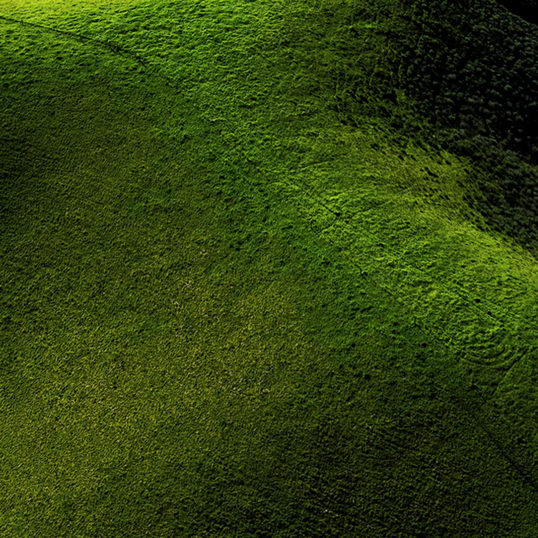 Green hillside seen from above